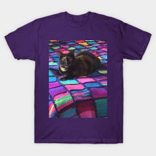 Jasmine on the Quilt of Many Colors T-Shirt